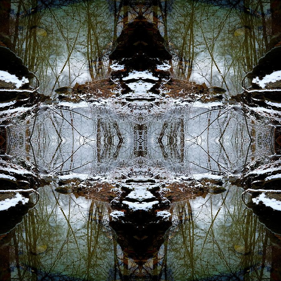 Frosty Forest Reflection 1 Photograph by Amanda Rae