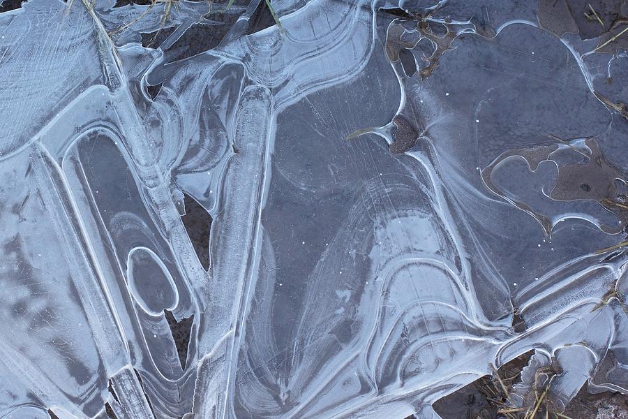 Frosty Formations In Frozen Puddles Photograph