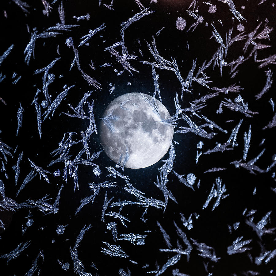 Frosty Full Moon Photograph by Peter Olsen - Fine Art America