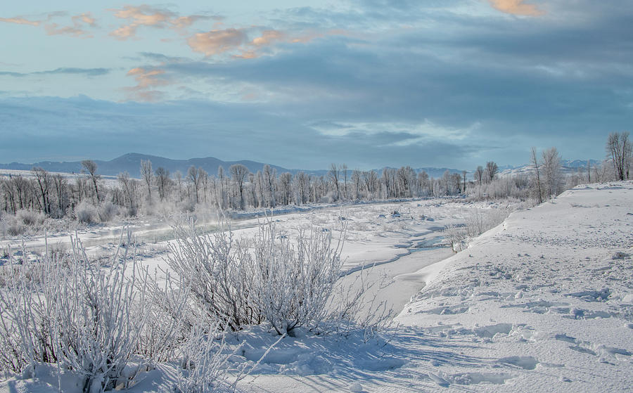 Frosty Gros Ventres River, Grand Teton National Park Photograph by Marcy Wielfaert