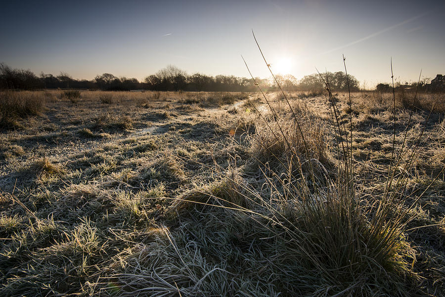 Frosty landscape Photograph by Ray Wise