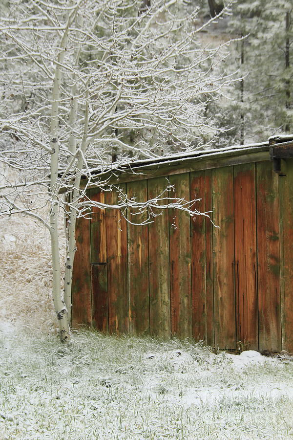 Sheds Photograph - Frosty Morning 1 by Roland Stanke Sheds Photograph - Frosty Morning 1 by Roland Stanke