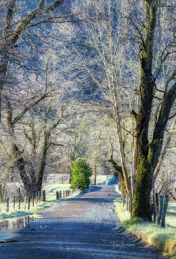 Frosty Morning in Cades Cove #9159 Photograph by Dan Beauvais