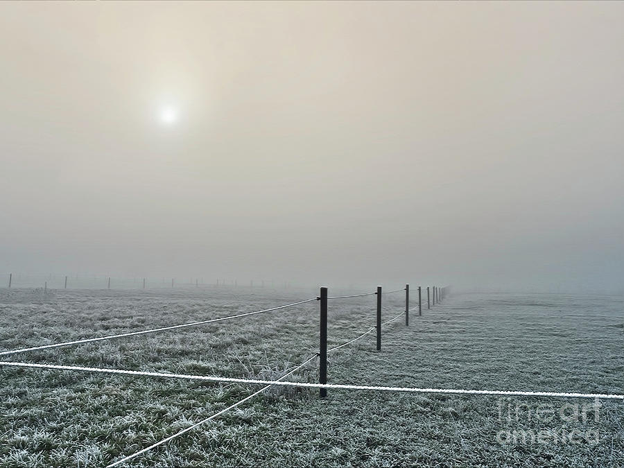 Frosty And Foggy Morning In Pastrel Shades  Photograph by Tatiana Bogracheva