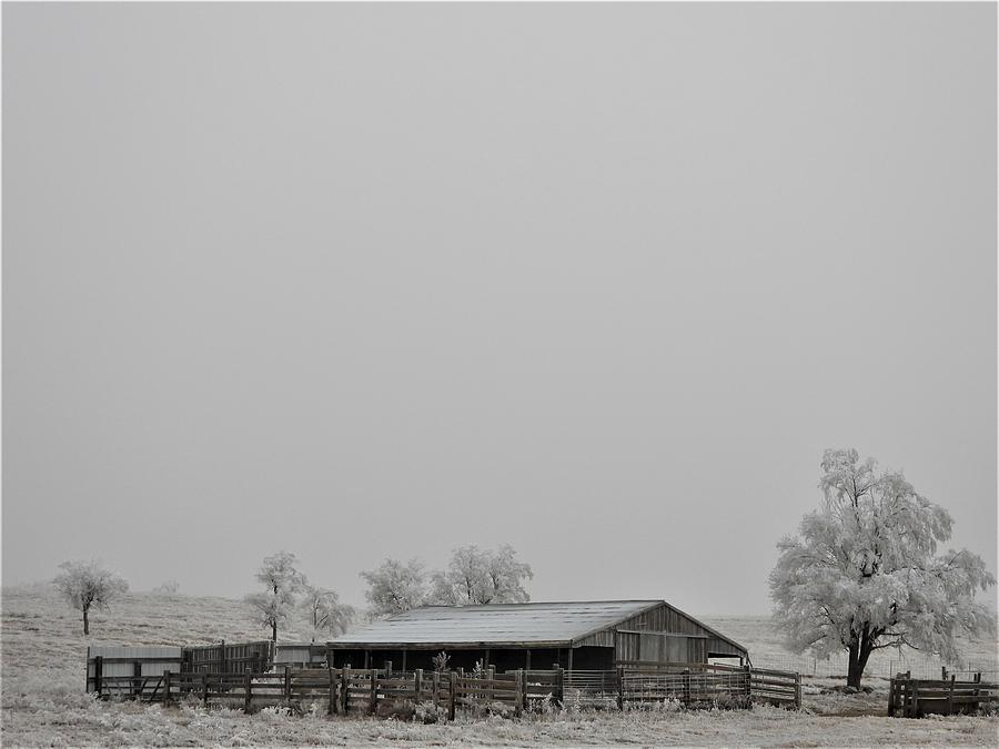 Frosty Old Barn Photograph by Amanda R Wright