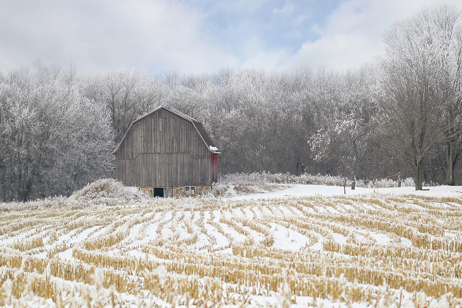 Frosty Old Barn Photograph by Brook Burling