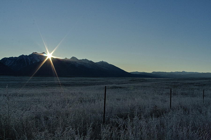 Frosty Rays Photograph by Rachel Daugherty - Fine Art America