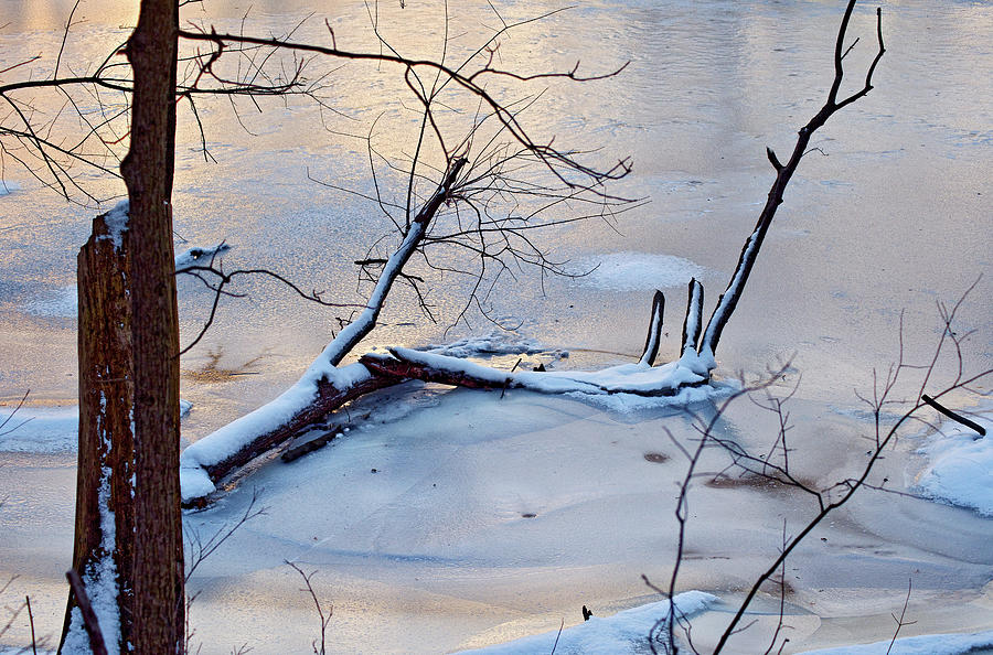 Frosty River Photograph by Thomas Firak