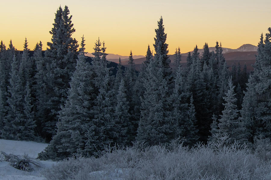 Frosty Rocky Mountain Winter Sunrise Photograph by Cascade Colors