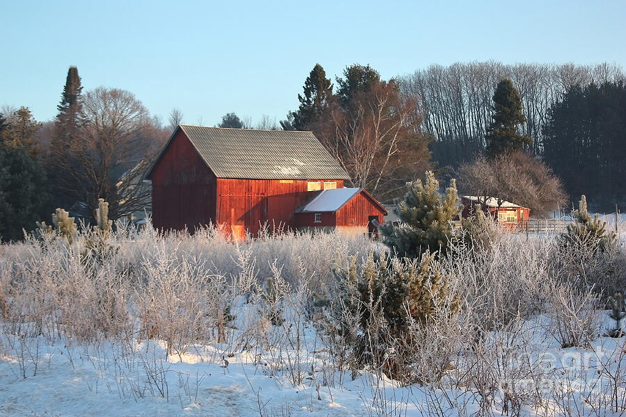 Winter Photograph - Frosty Sunrise Barn by Teresa McGill