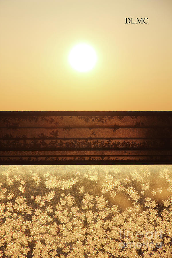 Frosty Sunrise Photograph by Donna L Munro
