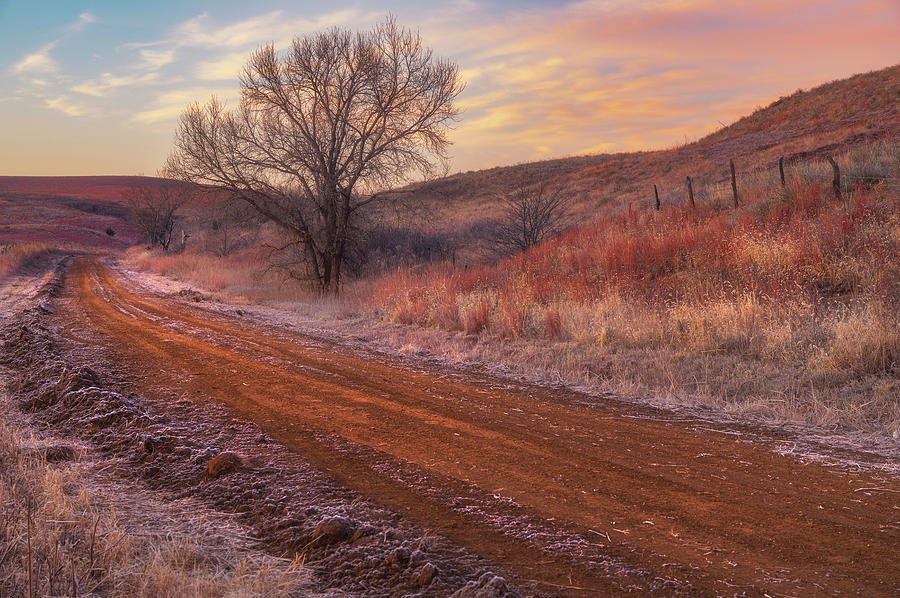 Frosty Sunrise In The Country Photograph