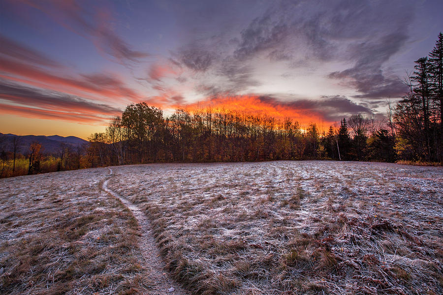 Frosty Sunrise Path Photograph by White Mountain Images