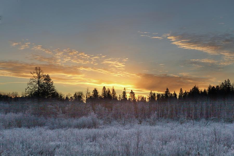 Frosty sunrise Photograph by Sharon Wilkinson - Fine Art America