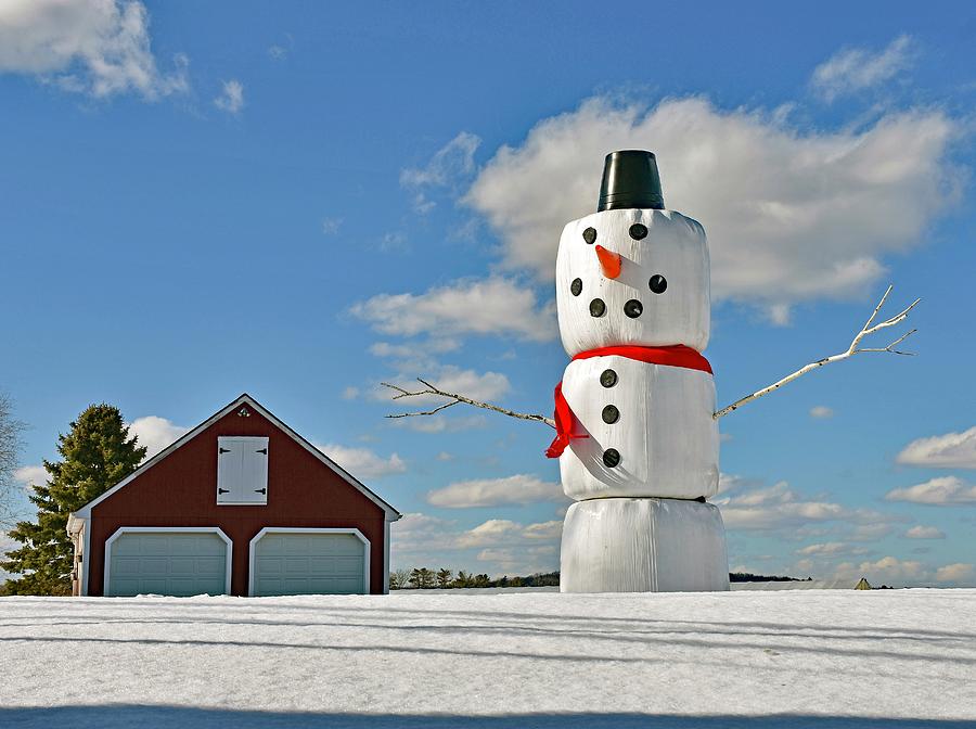 Frosty the Snowman Photograph by Monika Salvan