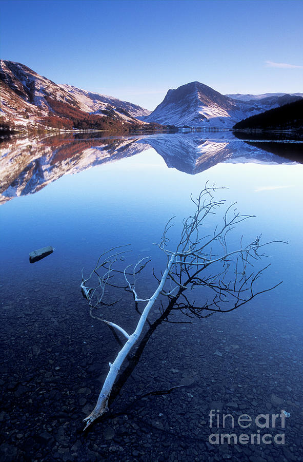 Frosty tree on Buttermere, Lake District, Cumbria, England Photograph by Neale And Judith Clark
