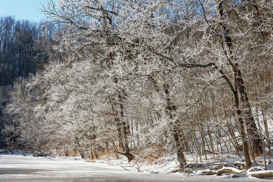 Frosty trees at Falling Spring Mill Photograph by Robert Charity