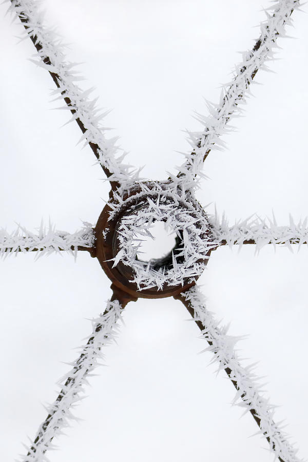 Frosty Wheel Photograph by Brook Burling