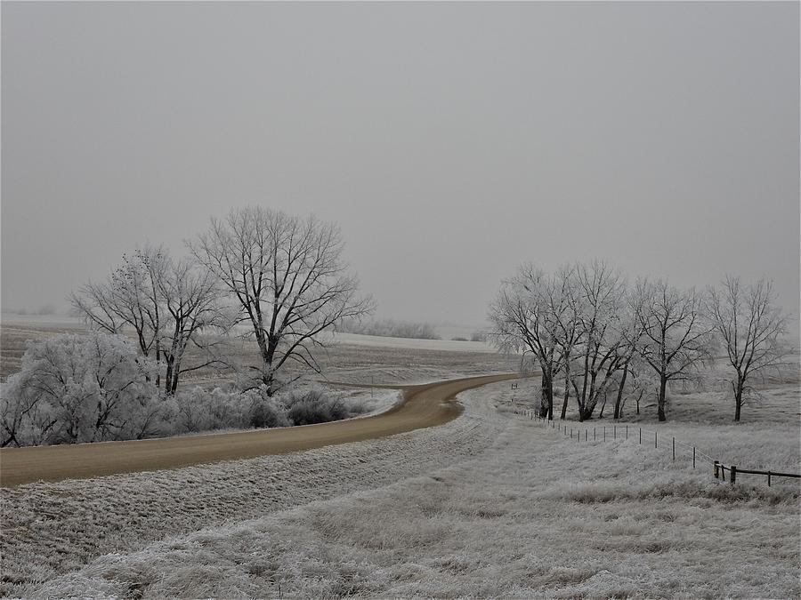 Frosty Winding Road Photograph by Amanda R Wright