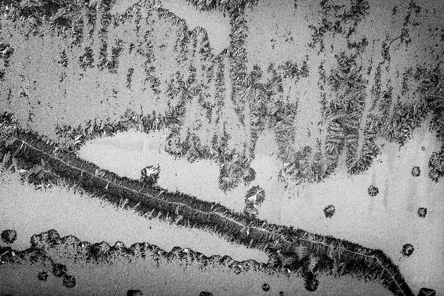 Black And White Photograph - Frosty Window II BW by David Gordon