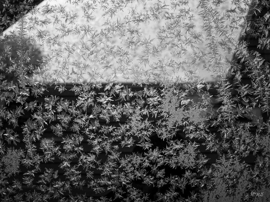 Frosty Window III BW Photograph by David Gordon
