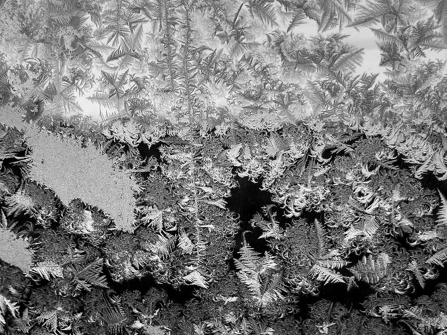 Abstract Photograph - Frosty Window IV BW by David Gordon