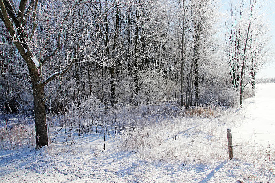 Winter Photograph - Frosty Winter Countryside by Debbie Oppermann