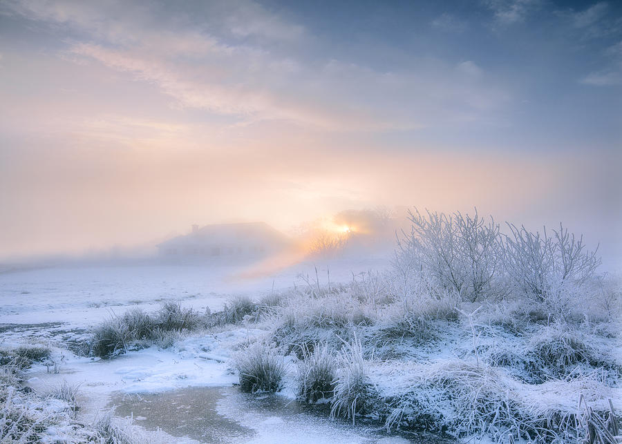 Frosty winter landscape, Cavan, Ireland Photograph by Mariuskasteckas