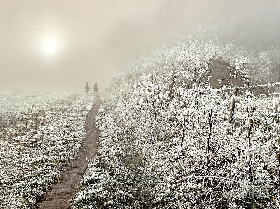 Frosty Winter Morning -  Romantic Duo Horsemen Ride Photograph by Tatiana Bogracheva