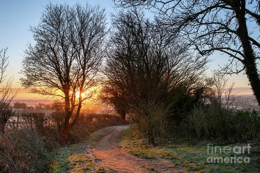 Frosty Winter Sunrise on the Cotswold Way Photograph by Tim Gainey