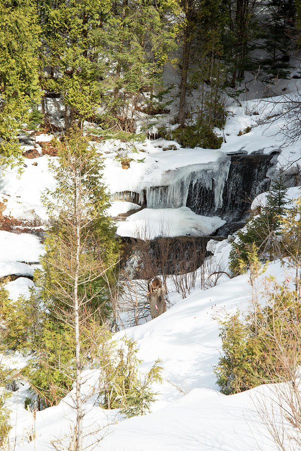 Frozen Alger Falls Photograph