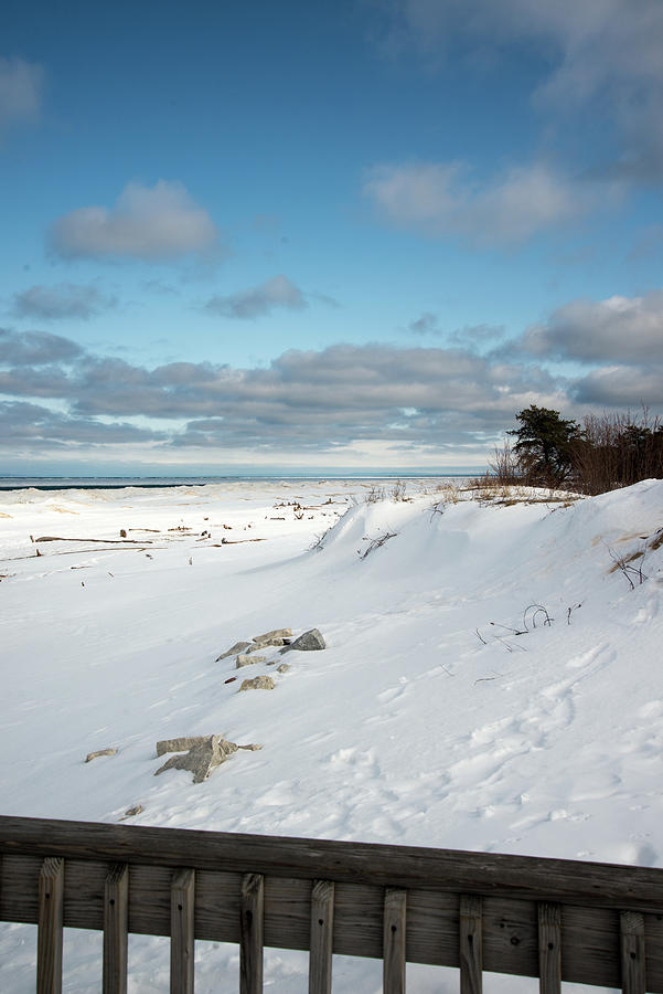 Frozen Beach Photograph