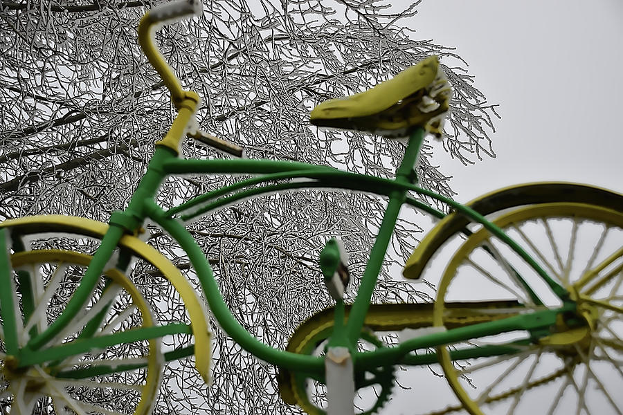 frozen themed bicycle