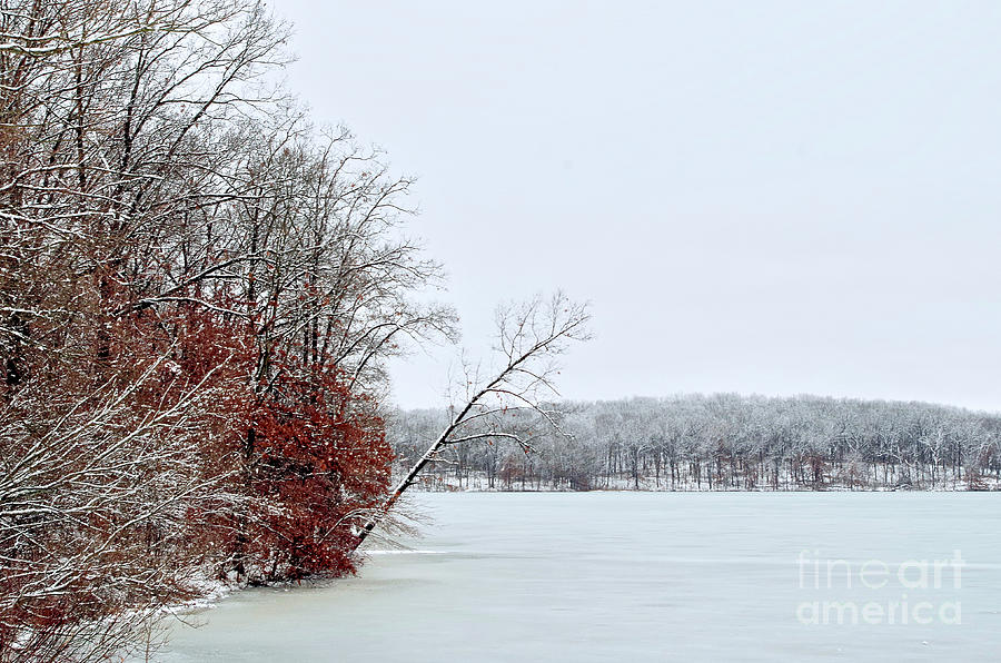 Frozen Blue Lake Photograph by Randy Pollard