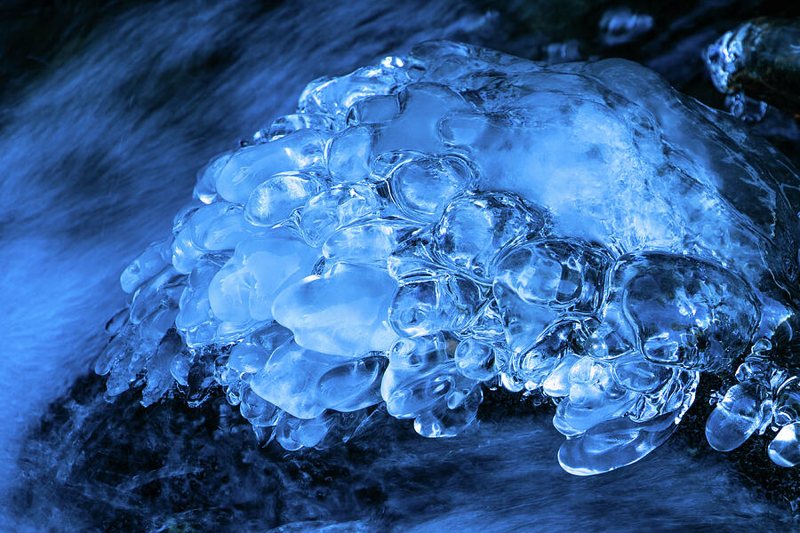 Frozen Blues Photograph by Kent Keller
