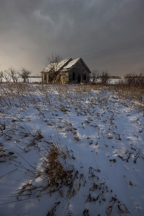 Sioux Falls Photograph - Frozen Bones by Aaron J Groen