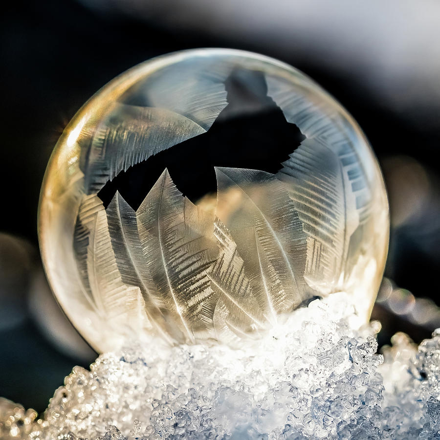 Frozen Bubble at Sunrise Photograph by Paulette Marzahl