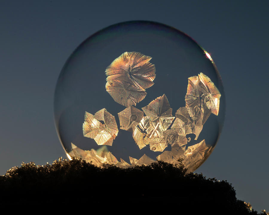 Frozen Bubble at Sunset Photograph by Dawn Key