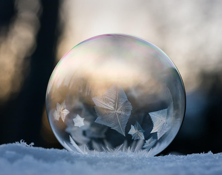 Frozen bubble Photograph by Photo by marianna armata