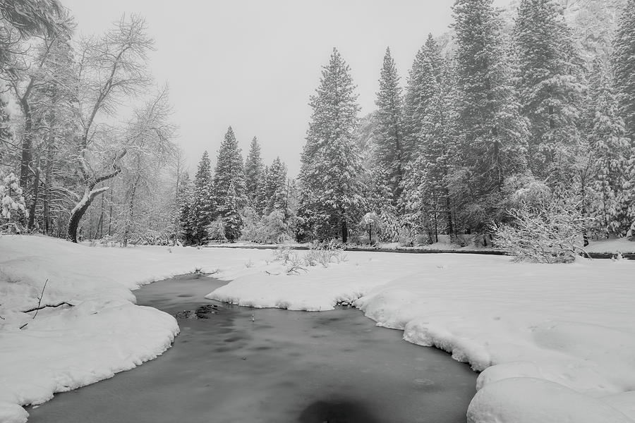 Frozen Creek Photograph by Jonathan Nguyen