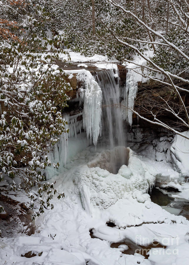 Frozen Cucumber Falls Photograph by Holly April Harris - Fine Art America