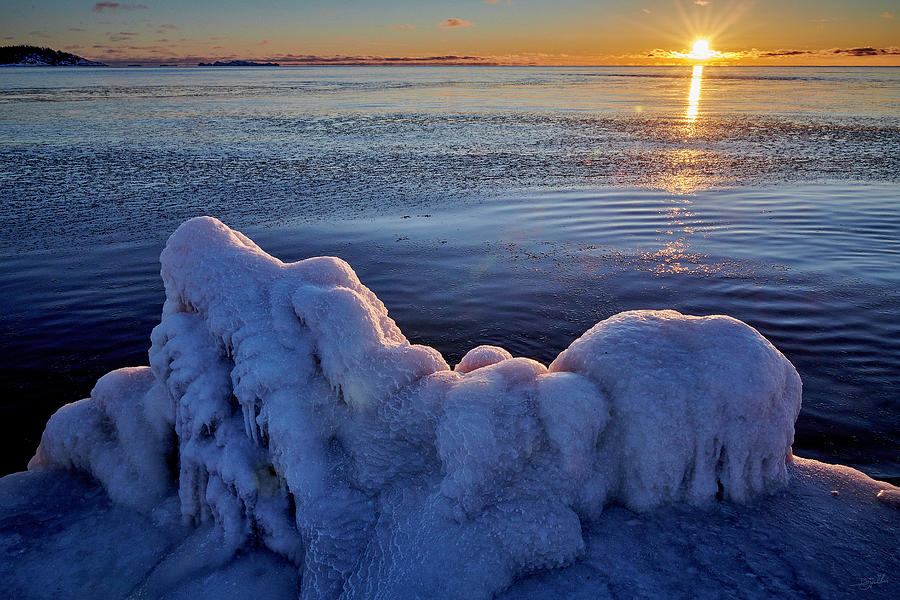Frozen Photograph by Doug Gibbons