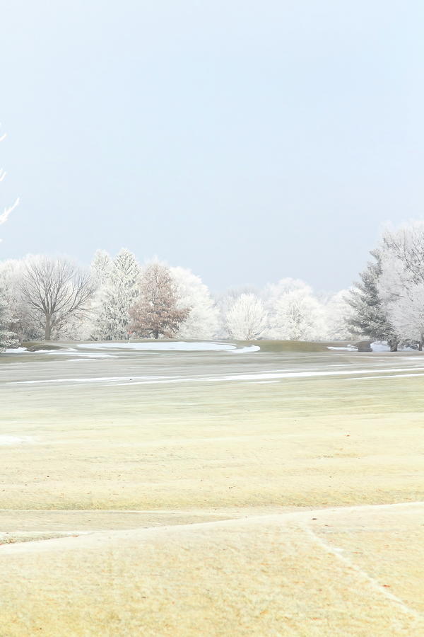 Frozen Fairway Photograph by Lens Art Photography By Larry Trager