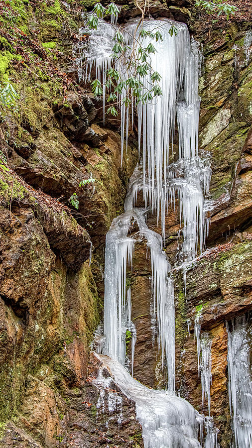 Frozen Falls, Great Smoky Mountains National Park Photograph by Marcy Wielfaert