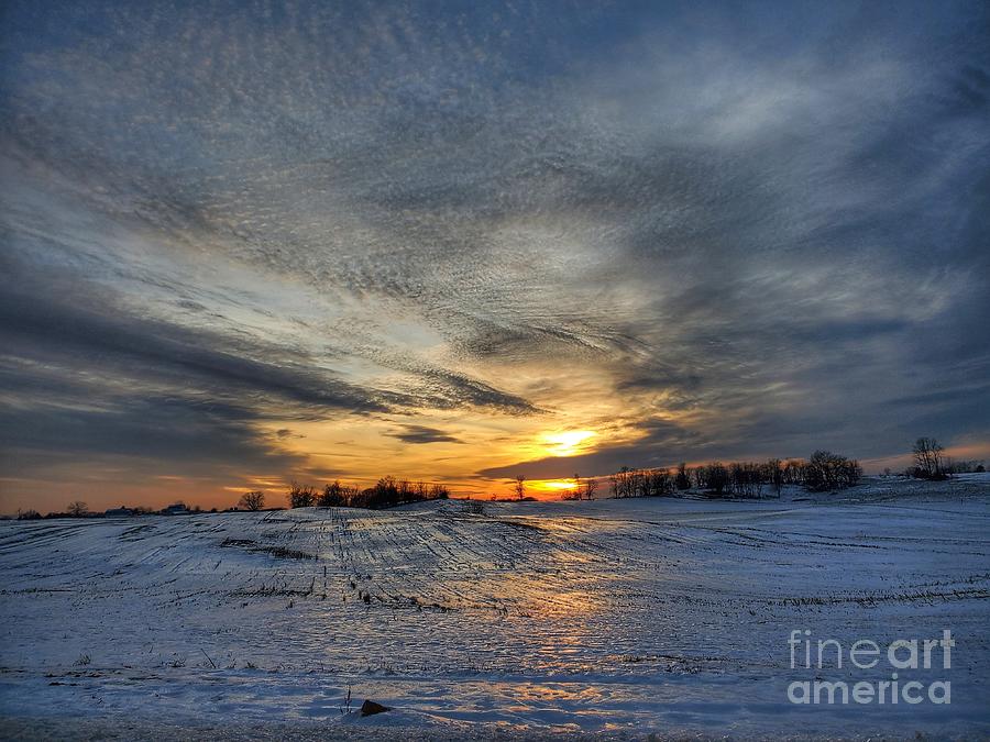 Frozen Farmland Photograph by Denver Halteman - Fine Art America