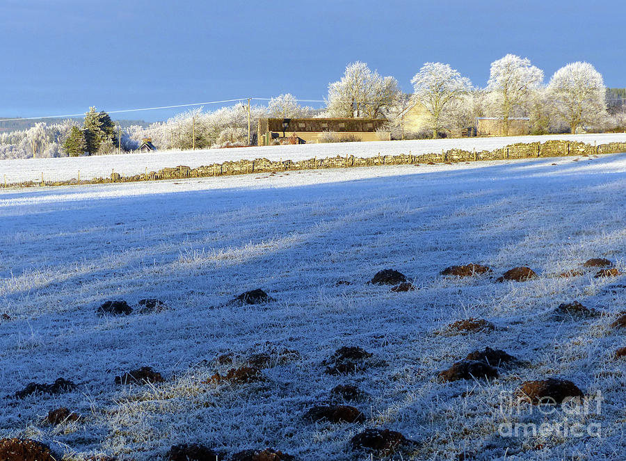 Frozen Farmland Photograph by Phil Banks