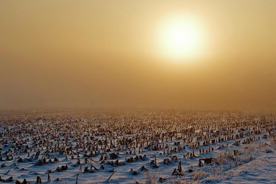 Frozen Field Photograph by Todd Klassy
