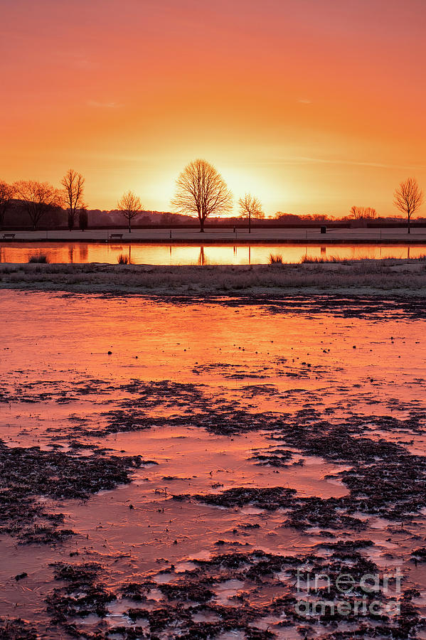Frozen Flood Water at Sunrise Photograph by Tim Gainey