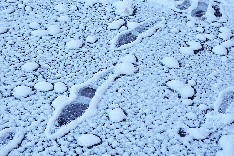 Frozen Footprints Photograph by Lyuba Filatova