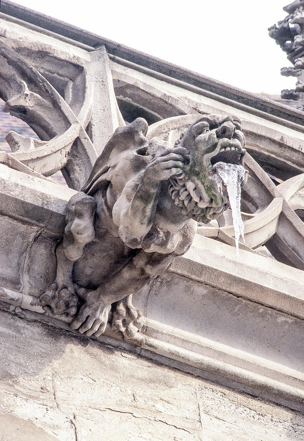 Frozen Gargoyle color Photograph by Dan Westfall - Fine Art America